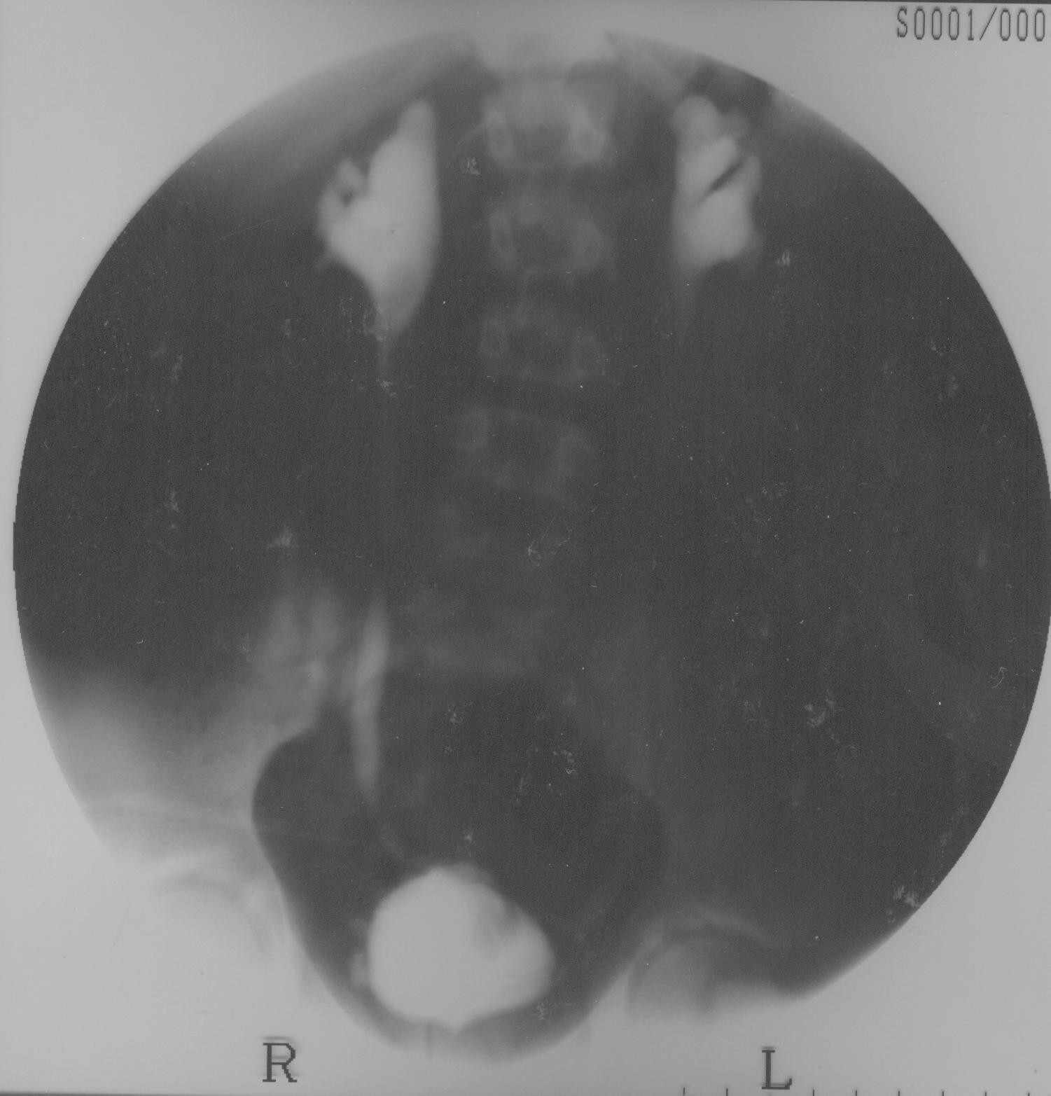 docu0008.jpg
